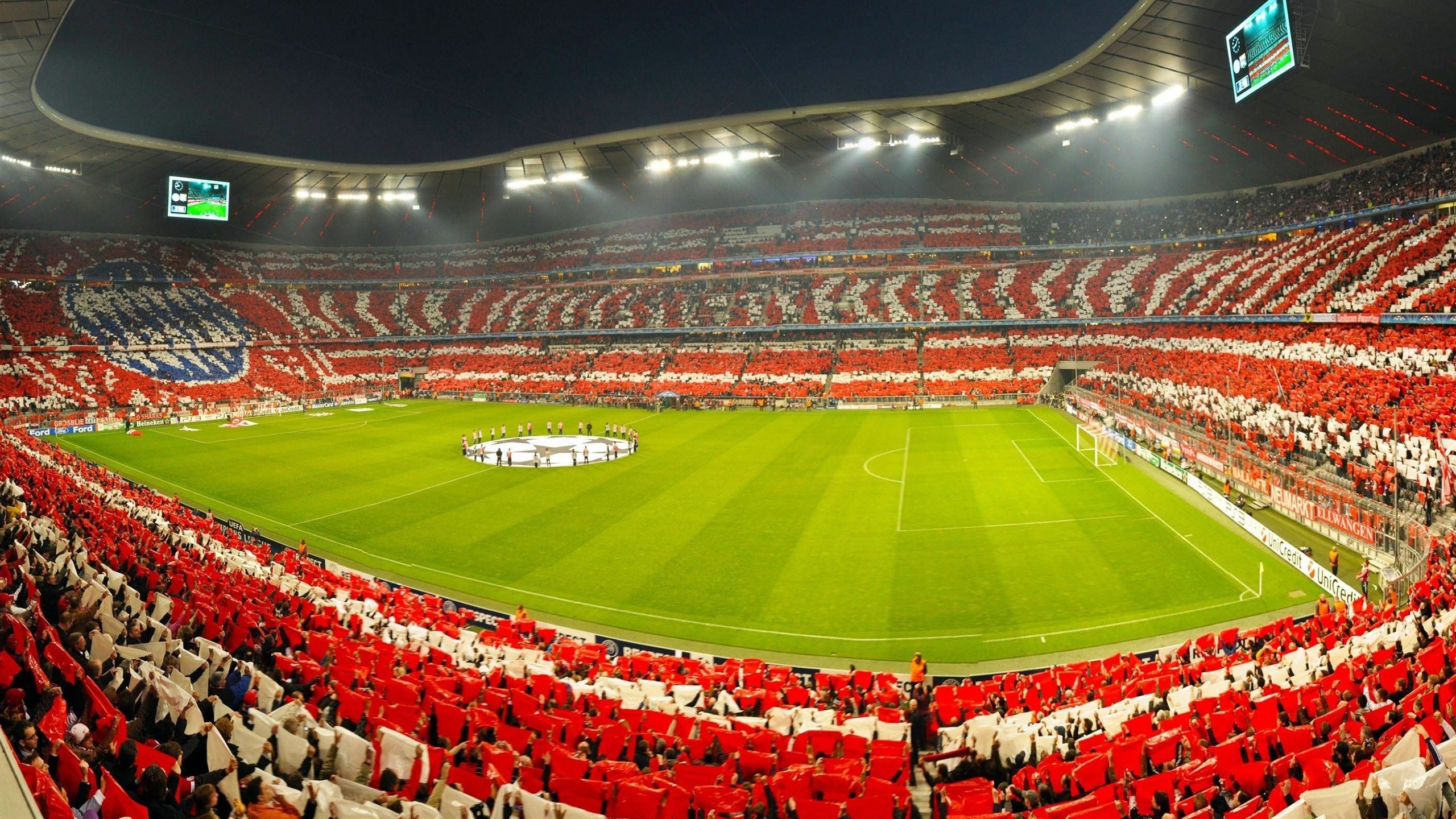 校园体育社团活跃度与管理策略研究,体育社团的运行状况